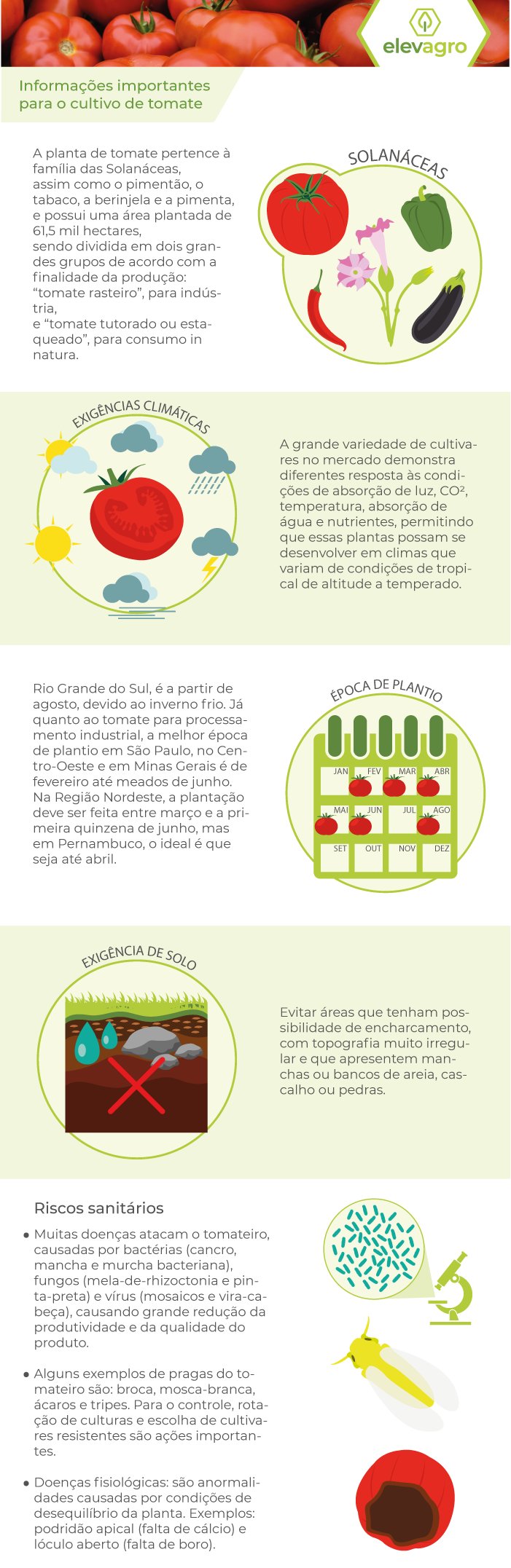 Figura 1. Informações importantes para o cultivo de tomate