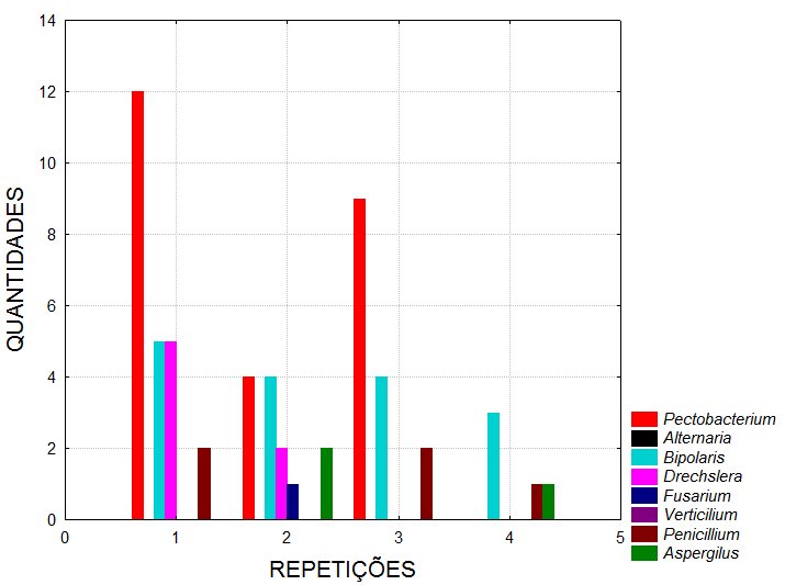 quantidades-fungos-encontrados-sementes-não-tratadas-em-meio-aa