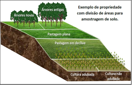 Análise de solo como ferramenta | Materiais Técnicos | Elevagro