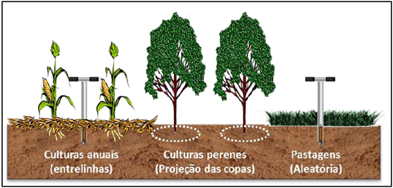 Análise de solo como ferramenta | Materiais Técnicos | Elevagro