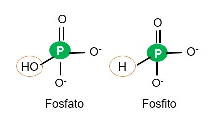 Figura 1. Estrutura química do fungicida fosetyl-Al.
