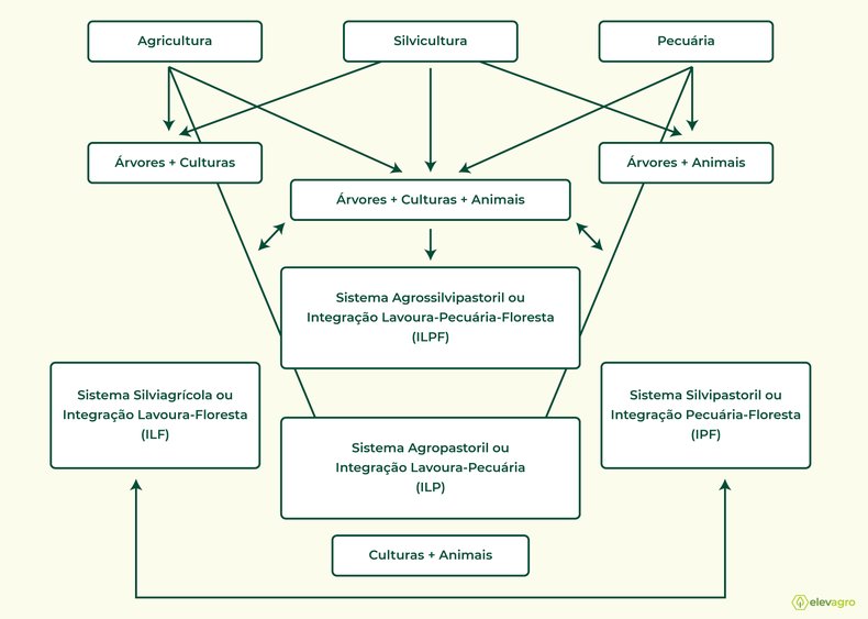  Figura 1: Associações dos componentes do sistema integração lavoura-pecuária-floresta