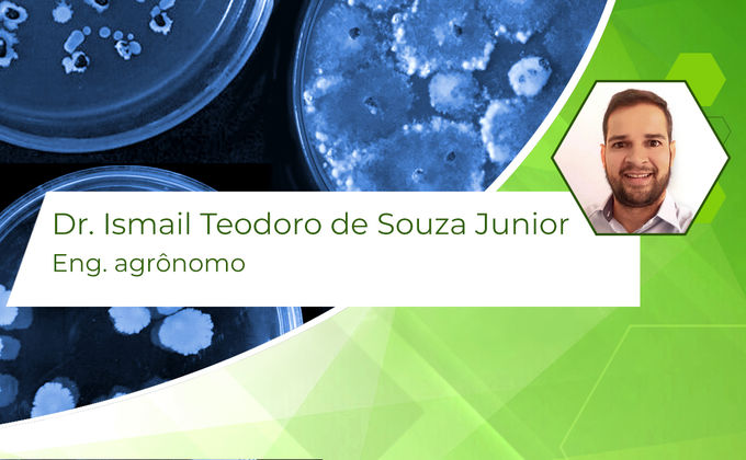 <em>Bacillus</em>: Uma ferramenta biológica para melhoria das culturas <em>Bacillus</em>: Uma ferramenta biológica para melhoria das culturas