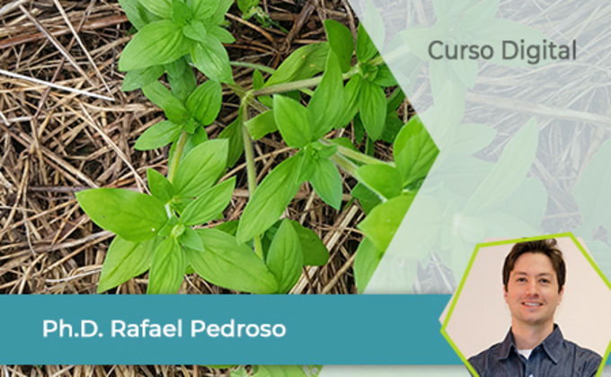 Biologia de plantas daninhas para o melhor manejo Biologia de plantas daninhas para o melhor manejo
