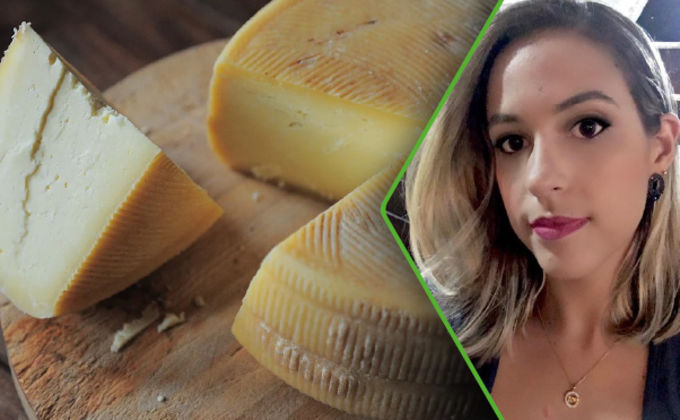 Produção artesanal de queijo vegano de mandioca para venda Produção artesanal de queijo vegano de mandioca para venda