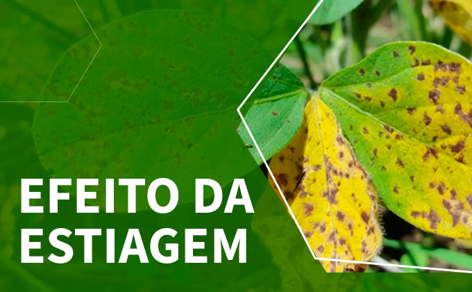 Efeito da estiagem sobre a dinâmica dos fungicidas e seu impacto sobre o controle das ... Efeito da estiagem sobre a dinâmica dos fungicidas e seu impacto sobre o controle das ...