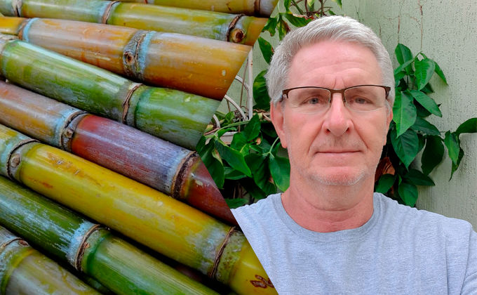 Fenologia, Fisiologia e Nutrição da cana-de-açúcar para altos rendimentos Fenologia, Fisiologia e Nutrição da cana-de-açúcar para altos rendimentos
