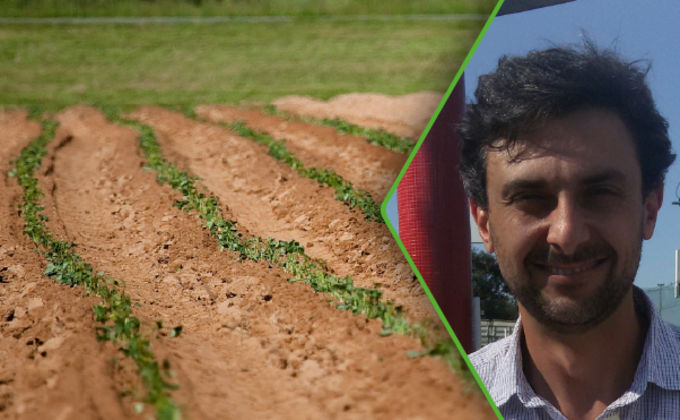 Fertilidade do solo: enxofre Fertilidade do solo: enxofre