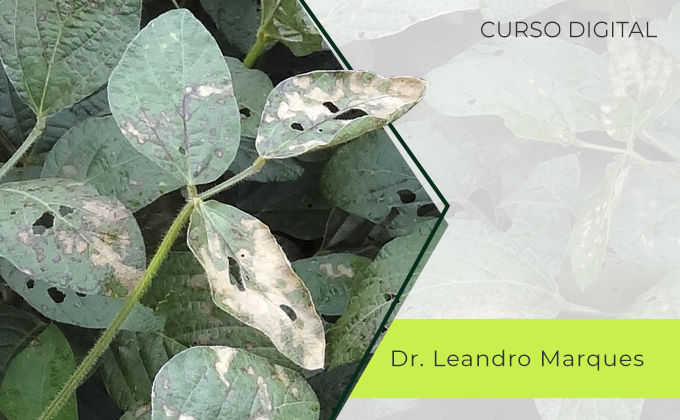 Fisiologia do estresse em plantas Fisiologia do estresse em plantas