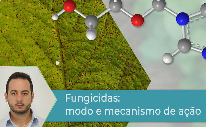 Fungicidas: Modo e Mecanismo de ação Fungicidas: Modo e Mecanismo de ação