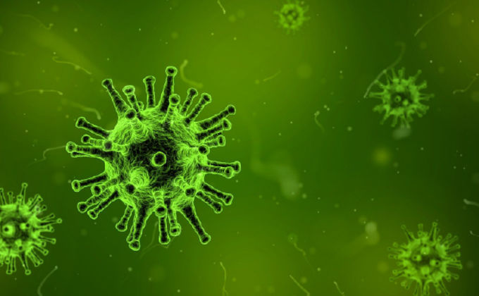 Microbioma em insetos Microbioma em insetos