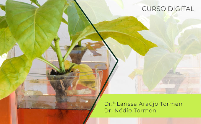 Micronutrientes: Absorção, assimilação, funções e deficiência Micronutrientes: Absorção, assimilação, funções e deficiência