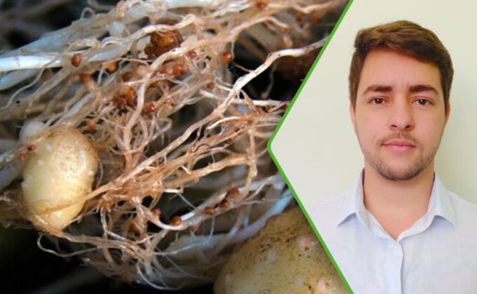 Nematoides de interesse na agricultura Nematoides de interesse na agricultura