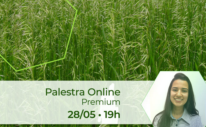 Plantas de cobertura e a sustentabilidade na produção de grãos Plantas de cobertura e a sustentabilidade na produção de grãos