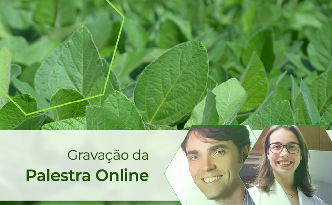 Produtos microbianos no manejo de pragas e doenças Produtos microbianos no manejo de pragas e doenças