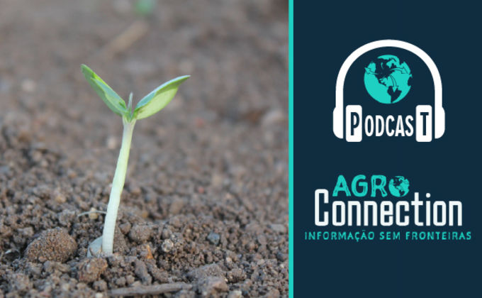 Especial Saúde do Solo - Plantas de cobertura com Maurício De Bortoli Especial Saúde do Solo - Plantas de cobertura com Maurício De Bortoli