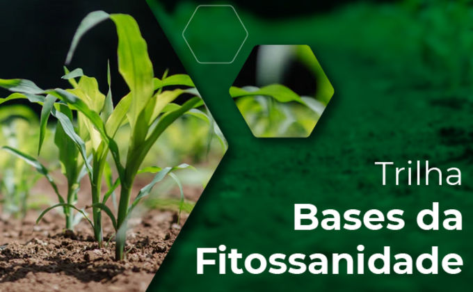 Trilha Bases da Fitossanidade Trilha Bases da Fitossanidade