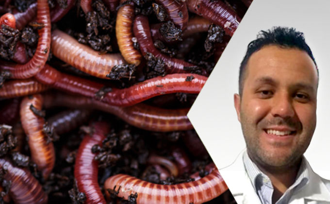 Vermicompostagem Doméstica Vermicompostagem Doméstica